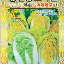 ��ꖹ��߲˷N���n���Ϝ����޲��β��Ο��Ν������@�̨����