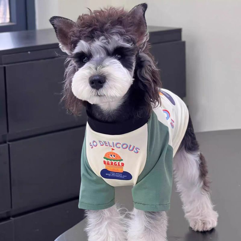 犬服新しい夏のペット夏カラーマッチングハンバーガーシュナウザーテディ小型犬ペット用品服|undefined