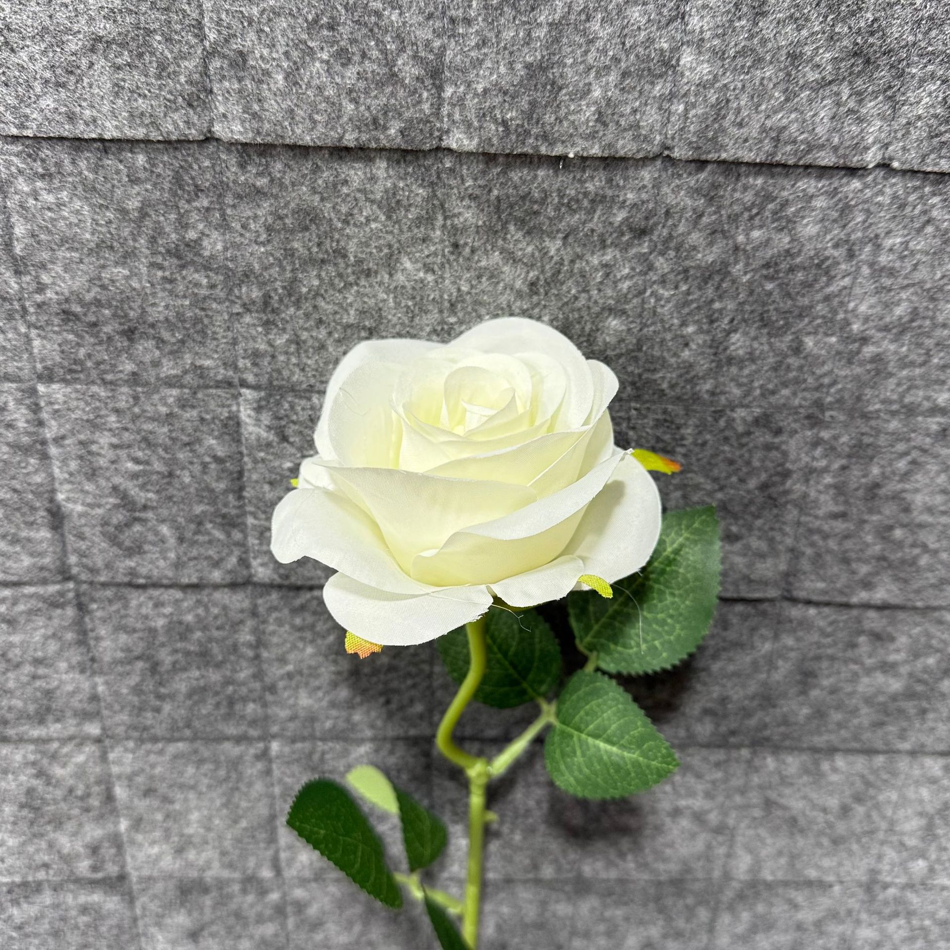 하얀색