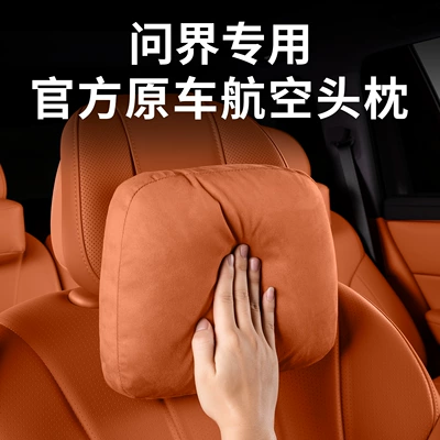 Headrest: Front and Rear Seat Original Aviation