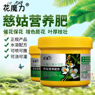 �ȹÌ��àI�B������Ժ�԰׵������鶴�����β�����ļ�ˮ�ܷ�