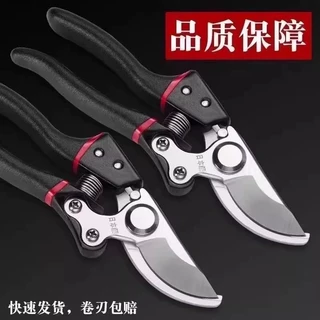 园林果树修枝剪不锈钢省力园艺剪家用花卉树枝修剪剪刀现货多规格