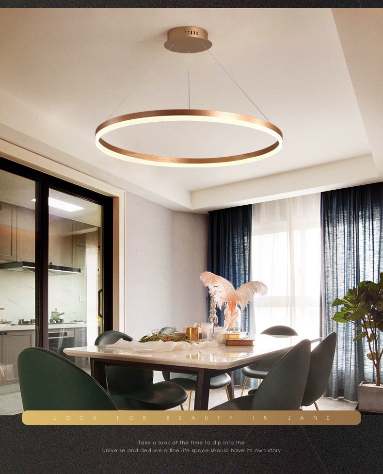 LED Ceiling Lamp Modern Creative, Ring Panels 40–100 cm, Warm/Neutral/White, Remote Option