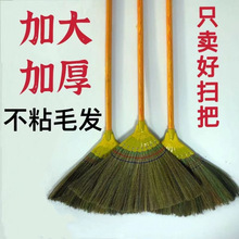 扫把神器不沾头发扫地扫帚八钉芒草扫把室内工厂学校地面专用
