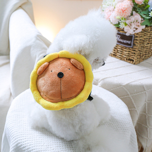 Pet circle puppy cat self-backpack cute little lion schoolbag traction bag