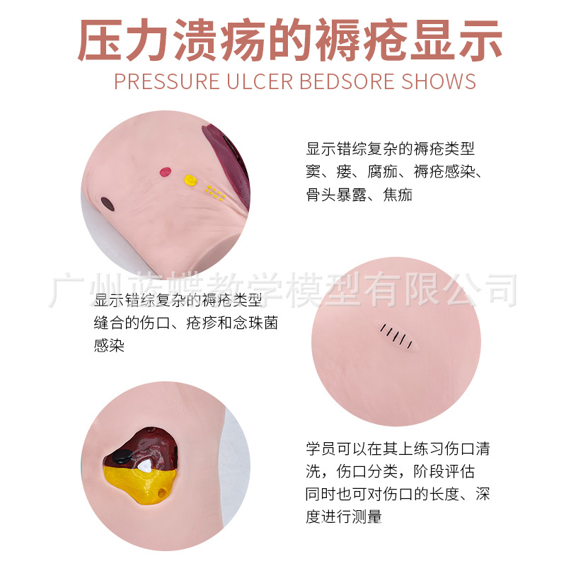 �촯ѹ������ģ�� �߼��������촯ѹ������ģ�� ҽѧ�ý�ѧģ��