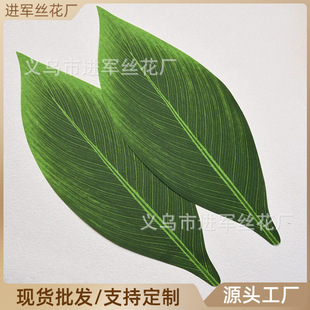 ����G�~��Ƭ���~�������~������ȹ������쾰ֲ��b���ֲ��
