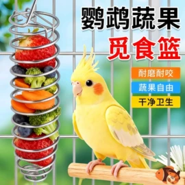 其他小宠用品;猫猫玩具;造景石