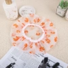 Orange, flowered