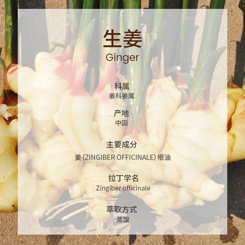 純植物芳治療級発熱生姜精油片方精油マッサージ全身通経絡掻爬精油メーカー|undefined