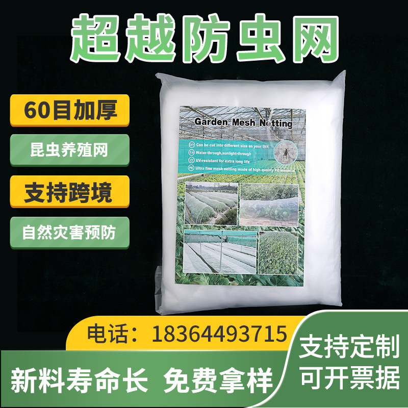 O1CN01egZ0Z41qoHflvOSJO_!!2211