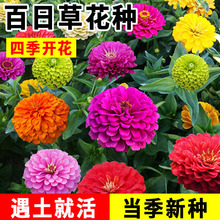 ļN׻_ջNƺջ̨ͥԺԻܷN