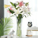 Large Rich Bamboo Glass Vase Household Living Room Water-raised Flower-arranging Hydroponic Lily Transparent Extra Large Decoration Vase