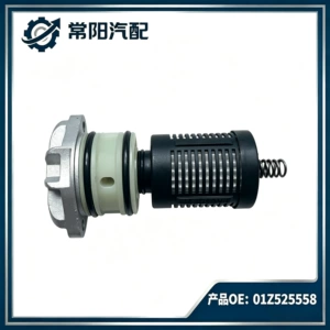 Suitable for Volkswagen Audi A3 Q3 TT transfer case filter 0BR525558 01Z525558 oil filter element