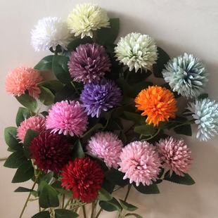 ������^����[�^�����c��Y�ò��üٻ��zӰ�Ƶ��b��̈����