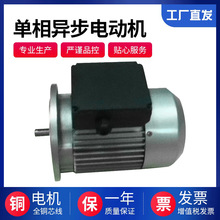 单相电容运转异步电动机