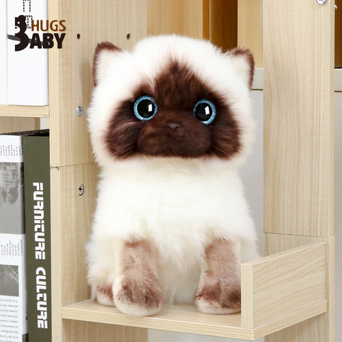 Super cute simulation kitten doll plush toy cute ragdoll Siamese cat doll small doll girl birthday gift