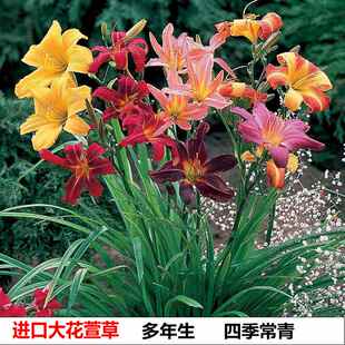 �G����������n���޸��ͺ���������ݻ���ر�ͥԺ�̨���Ի���