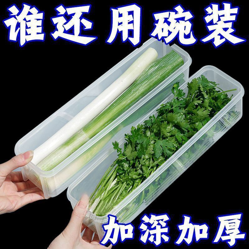 冷蔵庫用コリアンダーとネギの保存箱、コリアンダー丸ごと保存、麺と卵の保存、密封|undefined