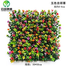 �ӹ����ƾGֲ������ֲ��b��҃ȱ���������Gɫ�ڒ����ϼٲ�ƺ