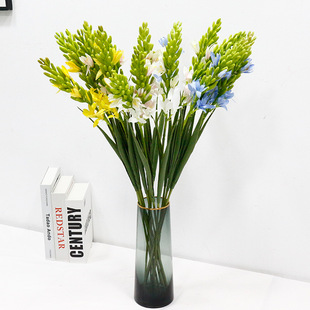 滨cƵҾbٻLӻջҹQ