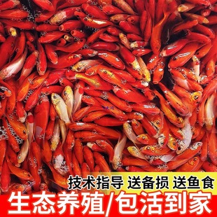 �ݽ��~�t���~�^�p�~С���~���~����~��ˮ�~�W�t�޹��~���w�[���~