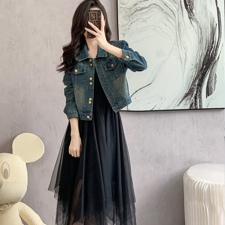 Vintage Slim-fit Denim Short Jacket Women's Autumn 2024 New Arrival POLO Collar All-match Long-sleeved Short Jacket Trendy Top