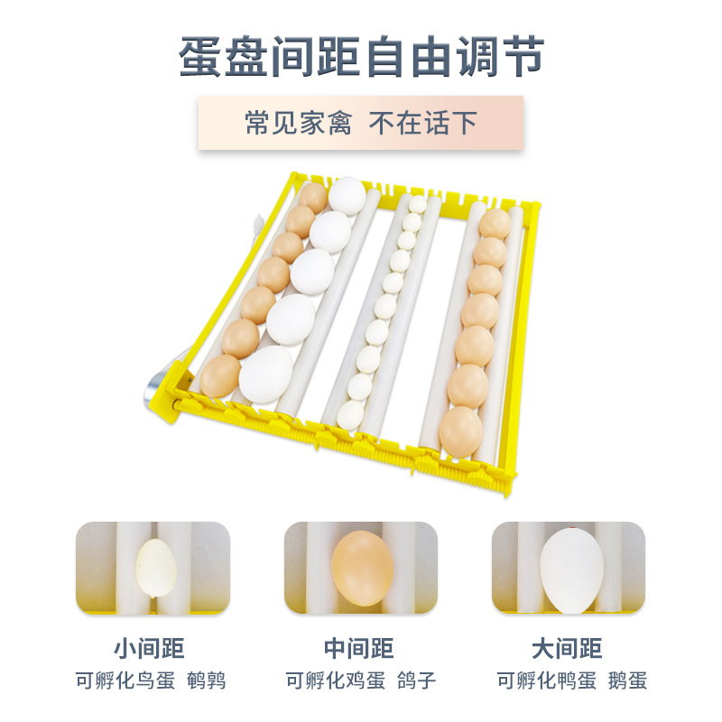 Comercio exterior 42 rodillo incubadora doméstica automática pollo pato codorniz equipo de cría con un solo clic huevo eclosión caja