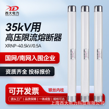 35kV�մ������۔���XRNP1-35/40.5 0.5A1A�߷֔����������۔���