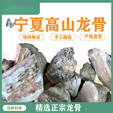 �������Xˮϴ���ǻ�ʯ��ĵϠ������ș���������Ƿǌ�������