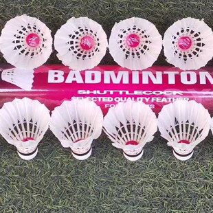 ��ë����ë��ë��12ֻ�b��ɫ�Zë��ë�W��Ӗ���ʹ���ë��