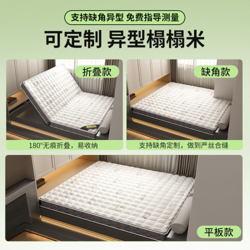 Bedroom tatami mattress pad, coconut palm made heating pad, order home use foldable tatami mat, homemade jute palm pad