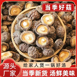 香菇;其他干货;代用/养生茶