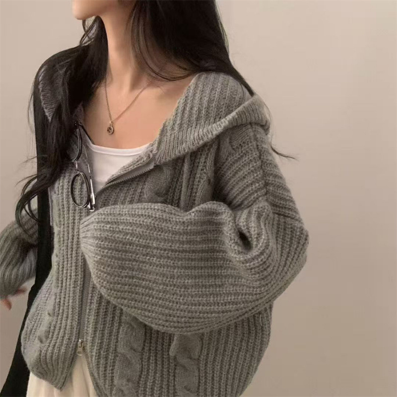 Oversized Korean chic autumn/winter loose-fit cable-knit double-zipper hooded sweater coat for women