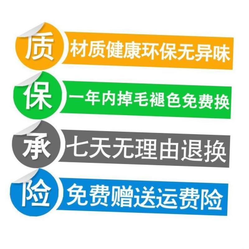 リビングルームcarpetくだろんじょうじょうじょうじょうじょうフロアマット|undefined