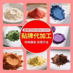 粉末特殊食事運動栄養補助食品加工錠剤顆粒食物繊維粉末プロバイオティクスプロテイン粉末工場OEM