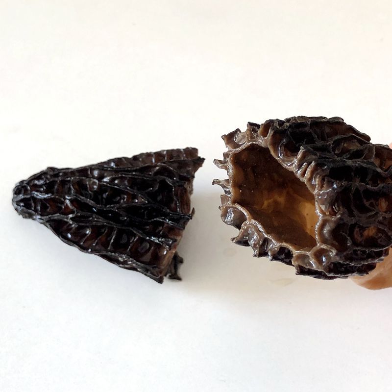 【Own Factory】Morel Dried Wholesale First Crop Trimmed Morels Without Stalks Loose 500g Soup Material
