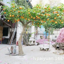 �߷��O��֦���Ә��O���b�ˮ���͏d�������滨�����[����֦�[�O
