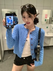 2025新款开秋季蓝色麻花针织开衫毛衣女韩系外搭软糯外套小上衣