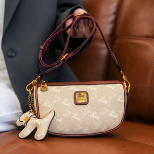 Cross-border High-end Texture Small Bag Women's 2025 New Elegant Fashionable Underarm Bag French Stick Bag Shoulder Crossbody Bag Women's Bag