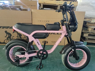 16寸ebikev8胖胎锂电动助力自行车越越野车助力自行车52