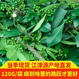 花椒/青椒