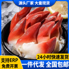 整颗北极贝新鲜冷冻即食刺身大号日料寿司刺身伴侣整个商用批发