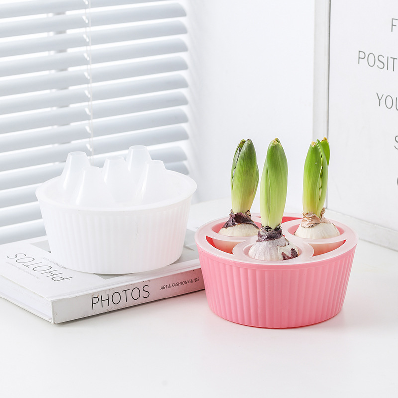 Tulip Bulbs, Hydroponic Flower Pots, Hyacinths, Narcissus Seeds, Three-Hole and Five-Hole Lazy Flower Pots