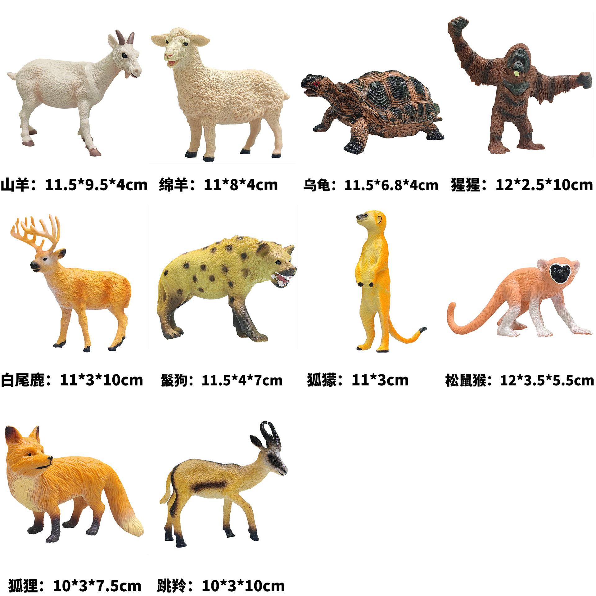 Materiales educativos infantiles transfronterizos, set de juguetes de modelos de dinosaurios y vida marina realistas pintados a mano para ciencia y educación.