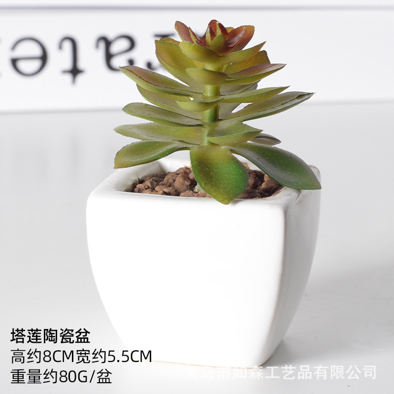 Simulación de cerámica bonsai de carne doméstica decoración de escritorio de oficina plantación verde maceta props de disparo maceta combinada artificial image 38