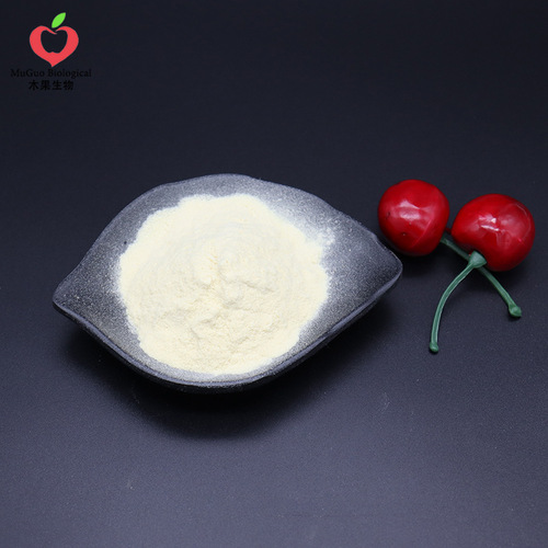 Camel First Milk Powder 99% - Woodland Biotech Camel Milk Powder Camel First Milk Freeze-dried Powder Food Grade