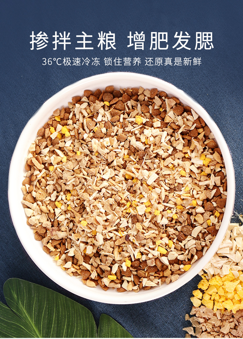 大连宠物美容行业展望：从传统走向专业