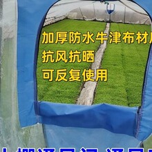 ͨ�L�T���Lͨ�L���L��ͨ�L���T�T��������ţ�򲼷��L