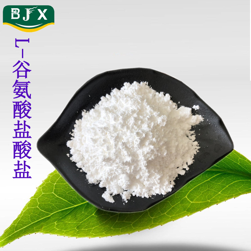 现货供应L-谷氨酸盐酸盐 食品级 营养强化剂 L-谷氨酸盐酸盐